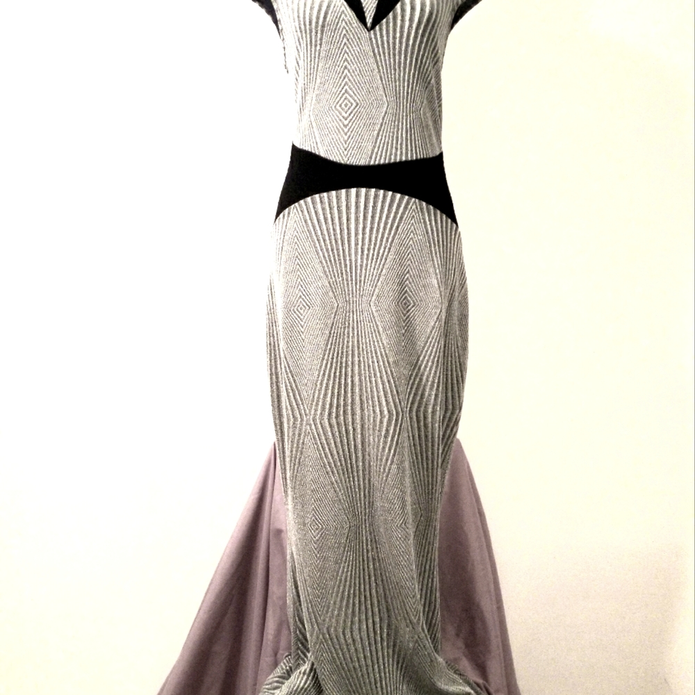 Silver and Black Gown
